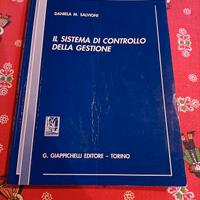 Il Sistema di Controllo della Gestione