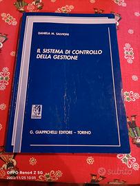 Il Sistema di Controllo della Gestione