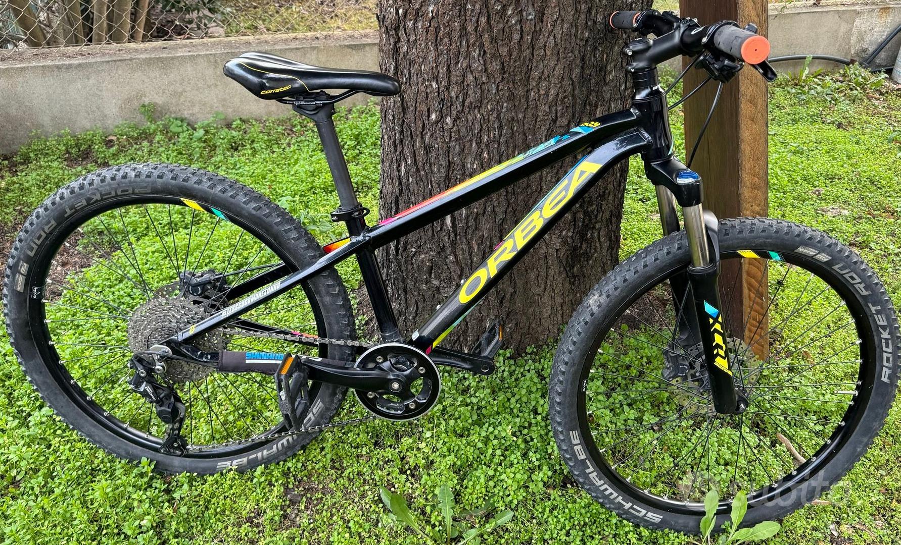 Orbea mx best sale 24 trail 2019