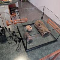 Acquario / Terrario
