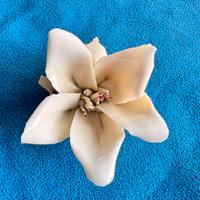 Fiore in porcellana Capodimonte