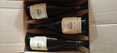 pinot nero della sala Antinori 