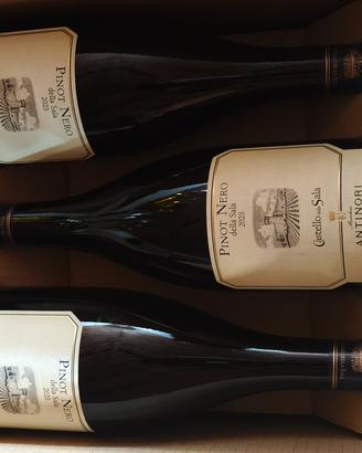 pinot nero della sala Antinori 