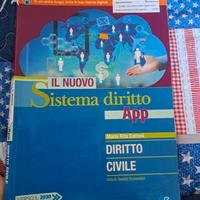 Il nuovo sistema del Diritto Civile