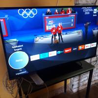 Tv Panasonic smart 48 pollici