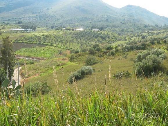 TERRENO in collina - Vista 4