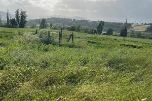 Terreno Edificabile Civitella Ranieri