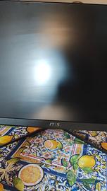 schermo da gaming 