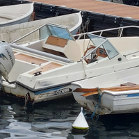 Gobbi 5,10 Family con Honda 40 cv
