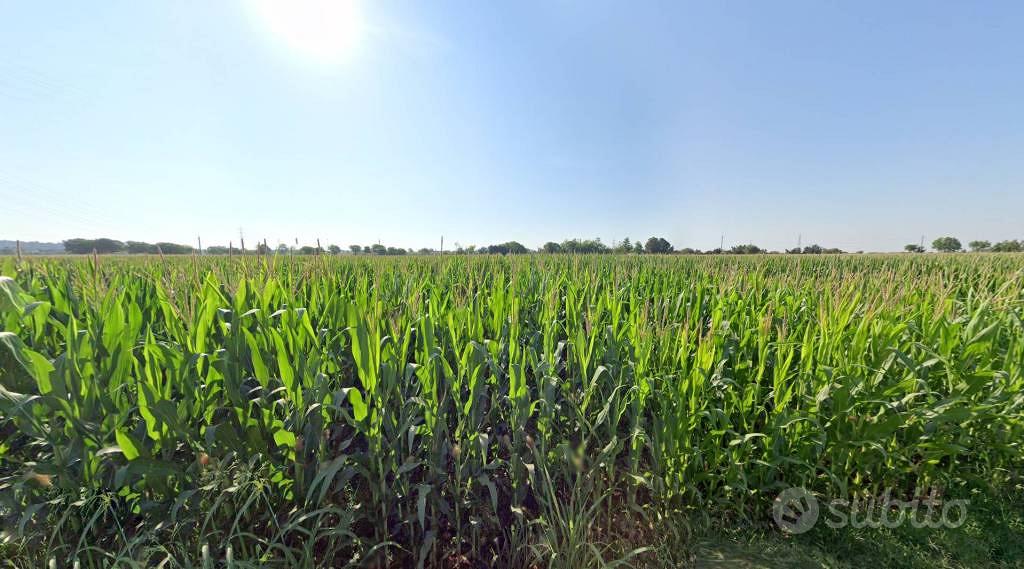 Terreno di 7330 m² a Castiglione delle Stiviere - Vista 2
