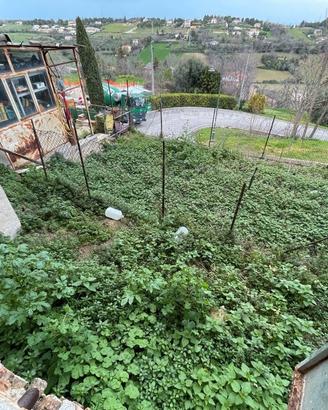 Panoramica con Giardino
