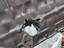 Immagine 17