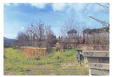 Terreno Agricolo Grottaferrata [A4342150]