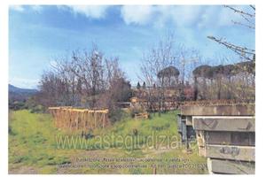 Terreno Agricolo Grottaferrata [A4342150]