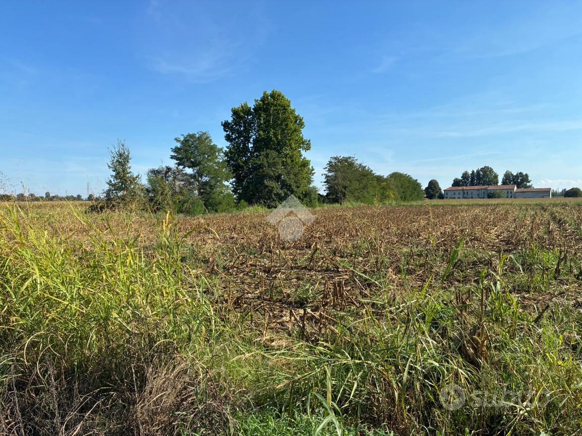 TER. AGRICOLO A CORBETTA - Vista 4