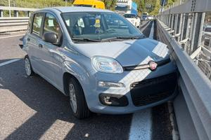 Fiat panda 2019
