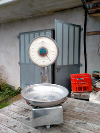 Bilancia roto Pavia vintage da restaurare