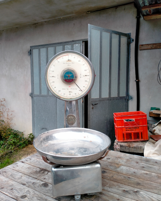 Bilancia roto Pavia vintage da restaurare