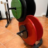 Pacco dischi palestra + porta dischi