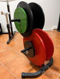Pacco dischi palestra + porta dischi