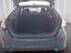 Immagine 13