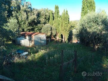 Terreno vicino al centro