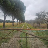 Terreno loc. LaVilla BA003697