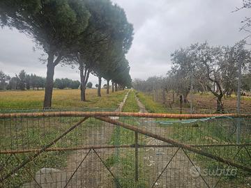 Terreno loc. LaVilla BA003697