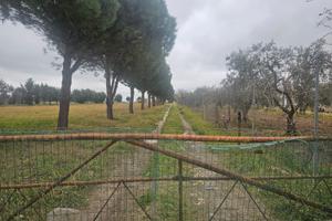 Terreno loc. LaVilla BA003697