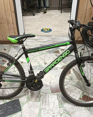Bici ragazzo 24” Bottecchia/Giardengo nera e verde