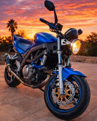 Suzuki SV 650