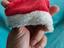 Immagine 1