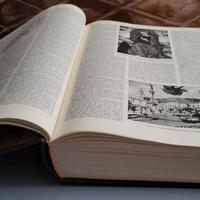 Dizionario enciclopedico italiano - Enciclopedia