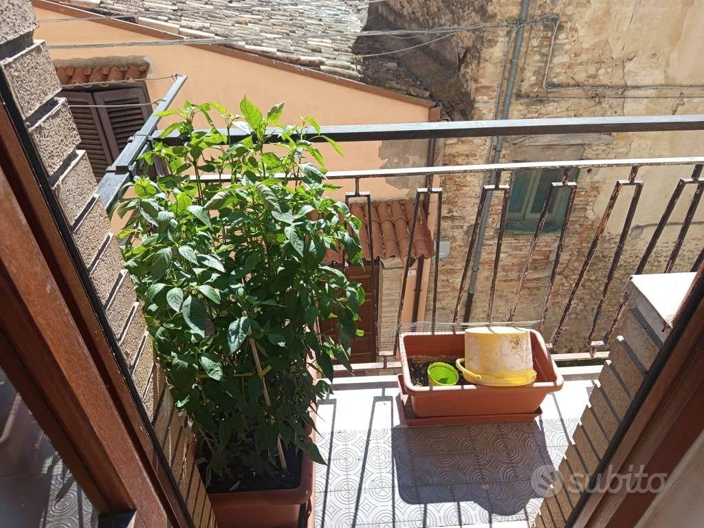 Appartamento – Lanciano, Borgo, Chieti - Vista 4