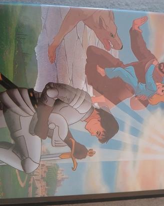 dvd san francesco