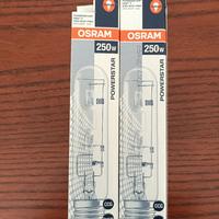 LAMPADE ALOGENE 250W