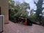 Immagine 18