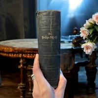 Antica Bibbia luterana 1904 caratteri gotici
