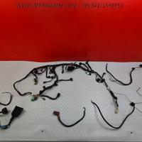 CABLAGGIO IMPIANTO SUZUKI VSTORM 650 2008 2009 DL