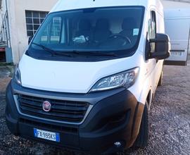 Fiat Ducato Frigo anno 2019 come nuovo