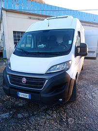 Fiat Ducato Frigo anno 2019 come nuovo