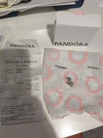 pandora colosseo