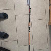 canna Shimano bolognese 4,20 