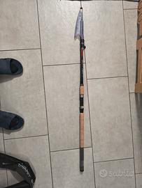 canna Shimano bolognese 4,20 