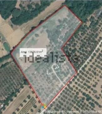 Terreno agricolo