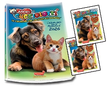 Figurine cucciolotti 2026