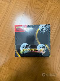 Box 36 Buste Megaevoluzione