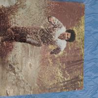 Vinile Lucio Battisti batteria, contrabbasso eccet