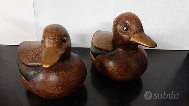Coppia Anatre 