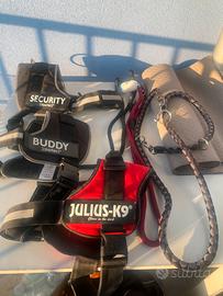 Pettorine per cani taglia L